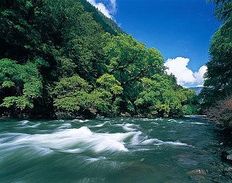 传闻 乒乓球模拟器《Eleven Table Tennis》将登陆PSVR2