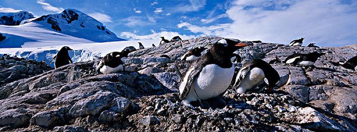 《战神》初代总监爆料：最早想把游戏做成第一人称